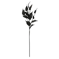 Black Philodendron Leaves Stem by Ashland®