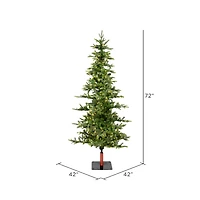 6ft. Pre-Lit Shawnee Fir Artificial Christmas Tree, Warm White LED Dura-Lit Lights