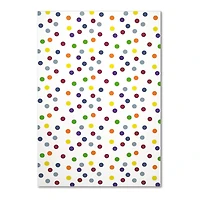 20 Pack: 12" x 18" Rainbow Dots Printed Foam Sheet by Creatology™