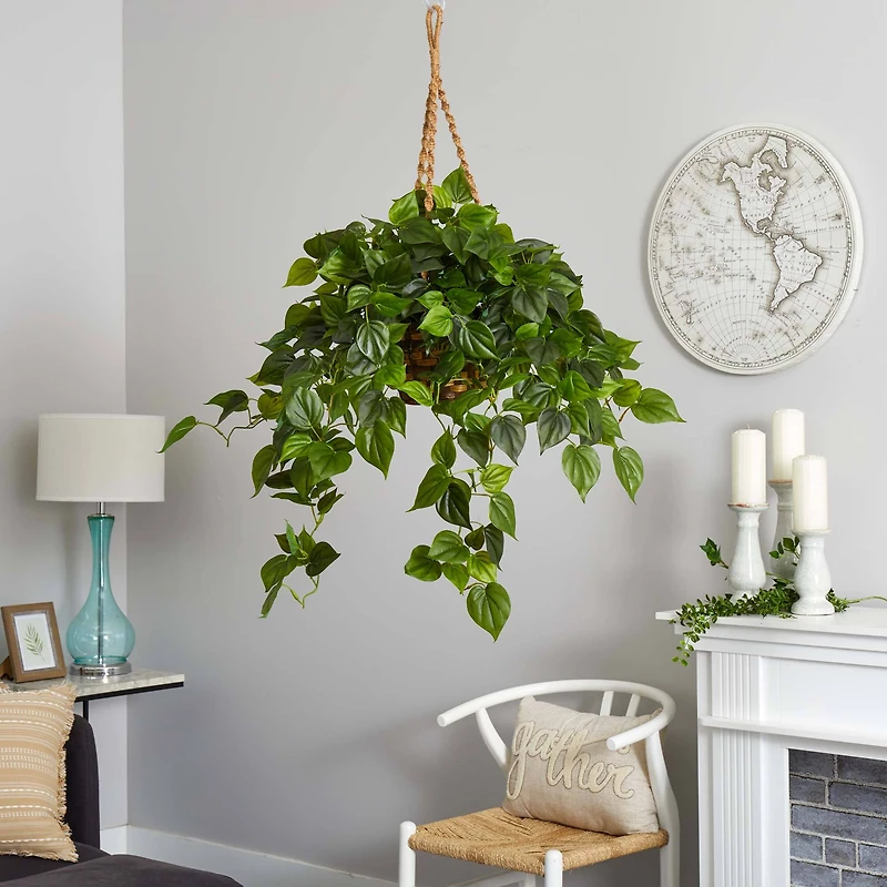 3ft. Philo Plant Hanging Basket