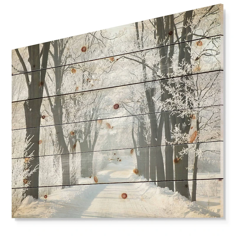 Designart - Country Road Between Foggy Trees - Forest Print on Natural Pine Wood