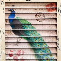 Peacock Window Shutter Wall Décor