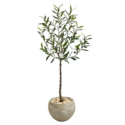4ft. Olive Tree in Sand Colored Planter