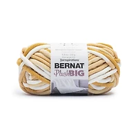 12 Pack: Bernat® PlushBIG™ Yarn