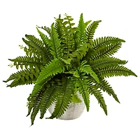 14" Boston Fern In White Planter