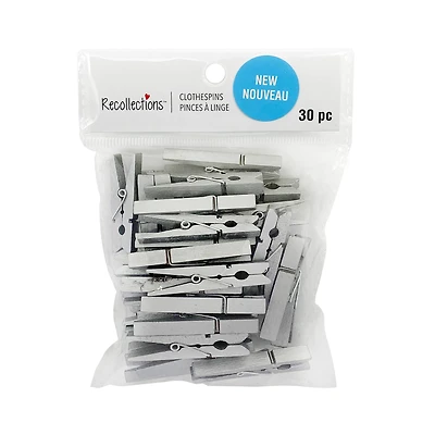 Medium Silver Clothespins by Recollections™