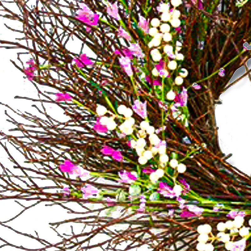 24" Spring Dark Pink & Cream Forsythia Wreath