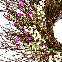24" Spring Dark Pink & Cream Forsythia Wreath