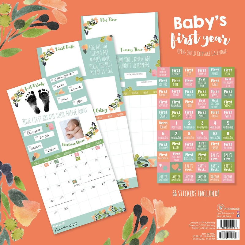 TF Publishing Baby's First Year Undated Keepsake Wall Calendar