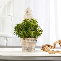 15" Unlit Succulent Artificial Plant in Christmas Tree Planter