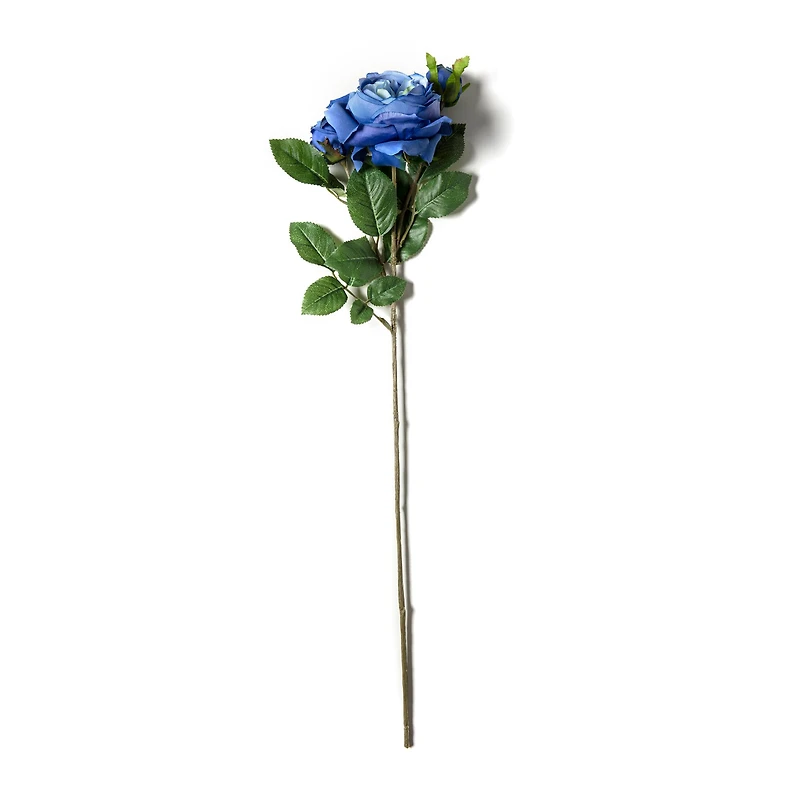 Blue English Rose Stem by Ashland®
