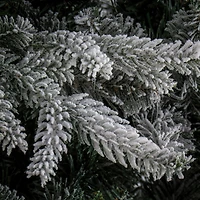 7.5ft. Unlit Frosted Holliston Artificial Christmas Tree