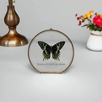 Hello Honey® Brass & Glass 5.5" x 5.5" Photo Frame