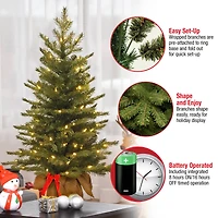 3ft. Pre-Lit Nordic Spruce® Artificial Christmas Tree, Warm White LED Lights