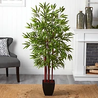 5ft. Potted Bamboo Silk Tree