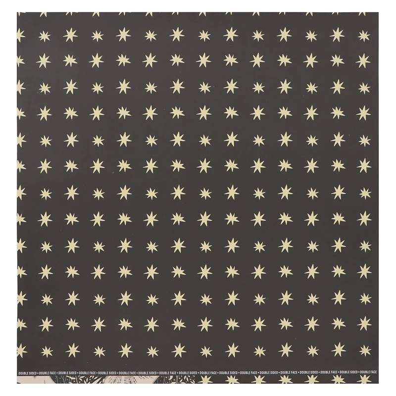 12" x 12" Double-Sided Moth Cardstock Paper by Recollections™