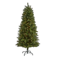 6ft. Pre-Lit West Virginia Mountain Pine Artificial Christmas Tree, Clear LED Lights