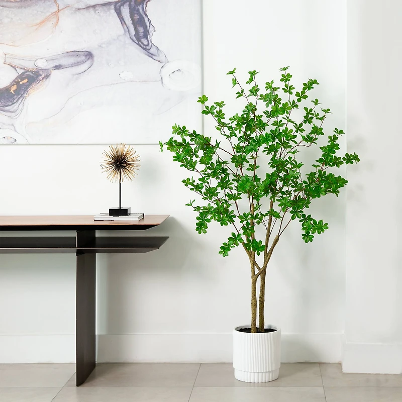 5ft. Enkianthus Tree in White Decorative Planter