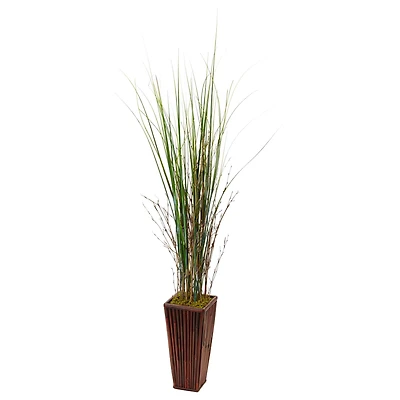 4.5ft. Bamboo Grass in Bamboo Planter