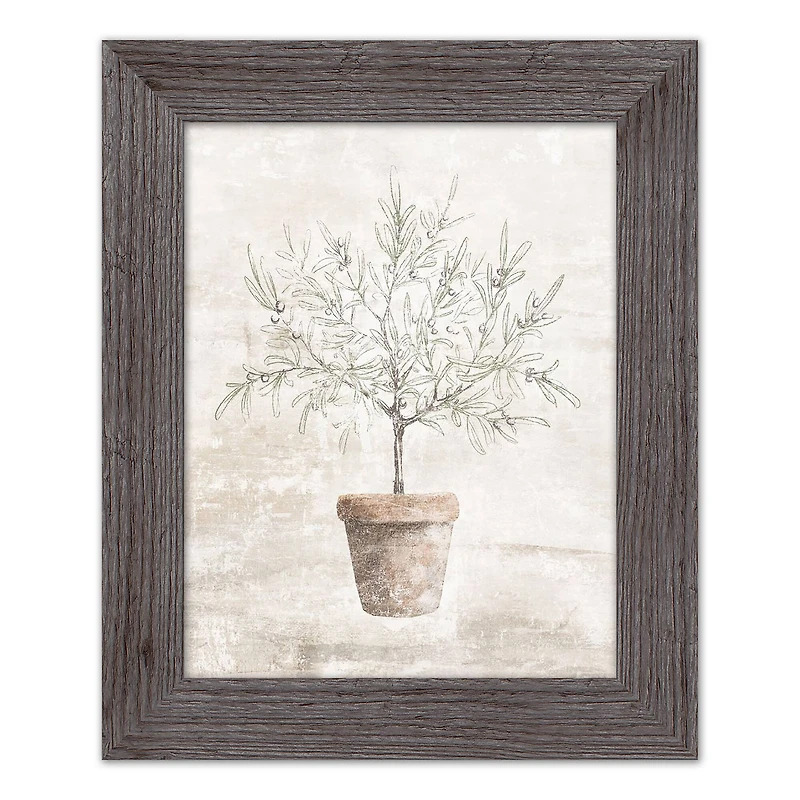 Distressed Olive Tree Western Framed Print