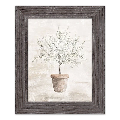 Distressed Olive Tree Western Framed Print