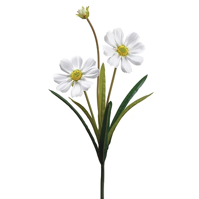 White Gazania Daisy Spray 