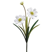 24 Pack: White Gazania Daisy Spray