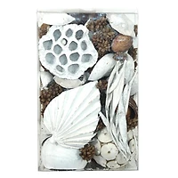 Citrus Sunrise Scented Potpourri by Ashland®