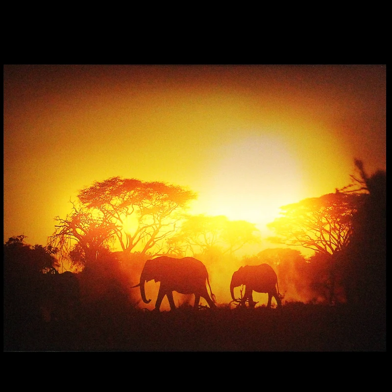 LED Safari Sunset Elephant Canvas Wall Art