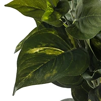 Pothos Bush Real Touch™ Collection by Ashland