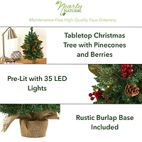 2ft. Pre-Lit Pine Artificial Potted Christmas Tree with Pinecone & Berries, Clear LED Lights