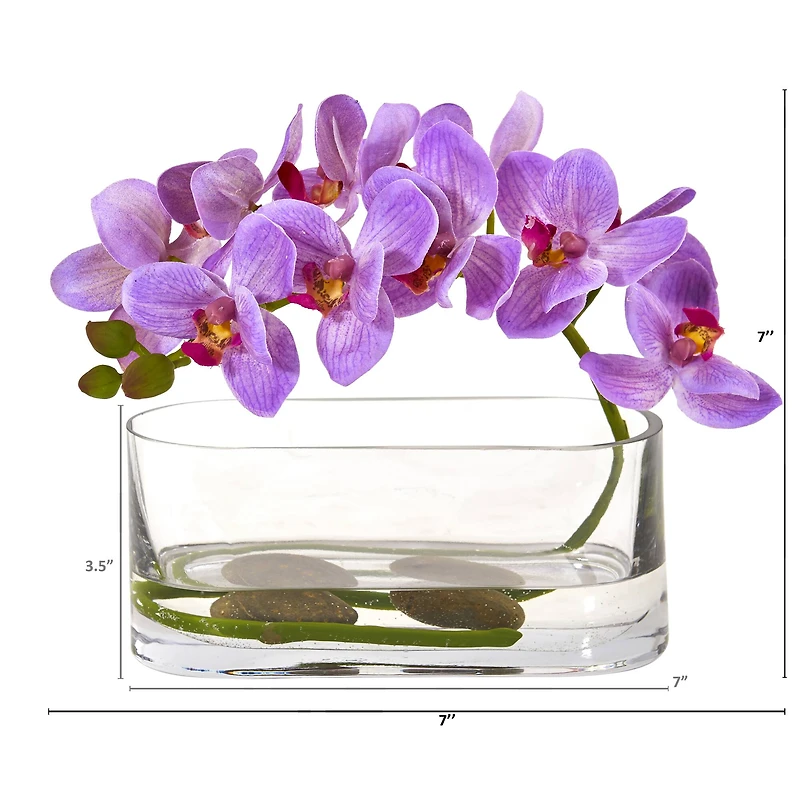 7" Moth Orchid Arrangement in Glass Vase