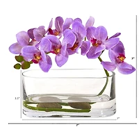 7" Moth Orchid Arrangement in Glass Vase