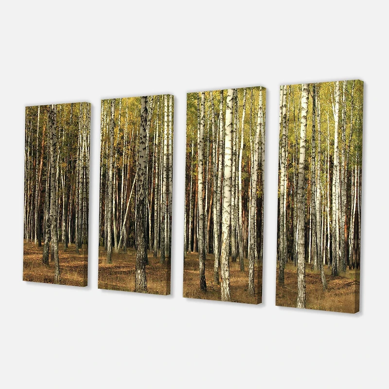 Designart - Green Fall Forest with Thick Trees