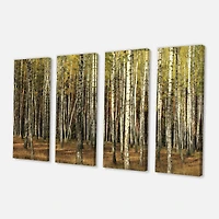 Designart - Green Fall Forest with Thick Trees
