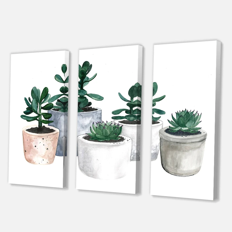 Designart - Cactus and Succulent House Plants VI