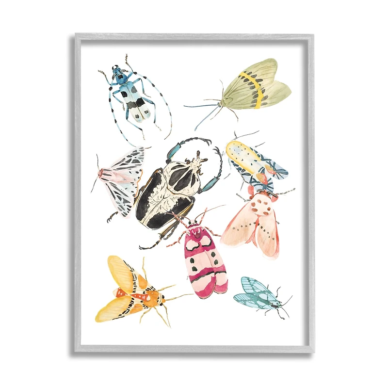 Stupell Industries Garden Insect Arrangement Charming Winged Creatures in Frame Wall Art