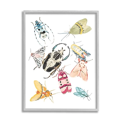 Stupell Industries Garden Insect Arrangement Charming Winged Creatures in Frame Wall Art