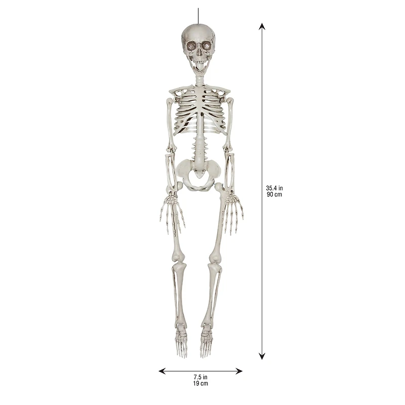 35" Hanging Skeleton by Ashland®