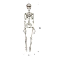 35" Hanging Skeleton by Ashland®