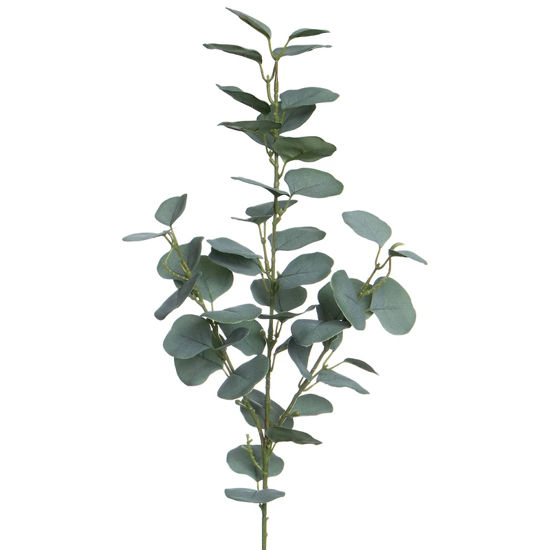 32" Green Eucalyptus Stem by Ashland®