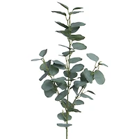 32" Green Eucalyptus Stem by Ashland®