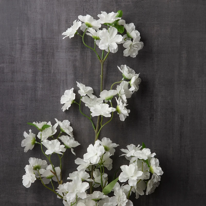 White Sakura Spray by Ashland®