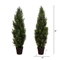 3ft. Potted UV Resistant Cedar Pine Trees, 2ct.
