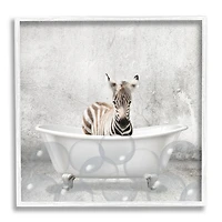 Stupell Industries Baby Zebra Bath Time Wall Art in White Frame