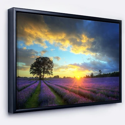 Designart - Stunning Sunset over Lavender Fields