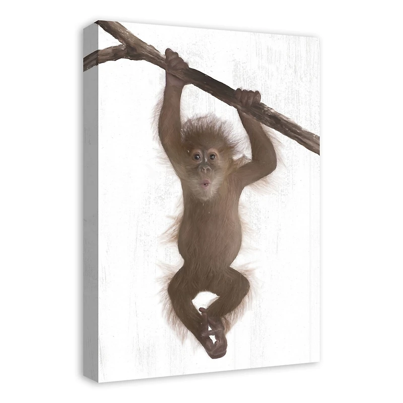 Hanging Monkey 16" x 24" Canvas Wall Art