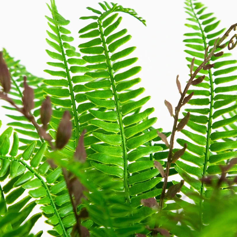 23in. UV Resistant Artificial Boston Fern Plant with Real Touch Leaves (Indoor/Outdoor)
