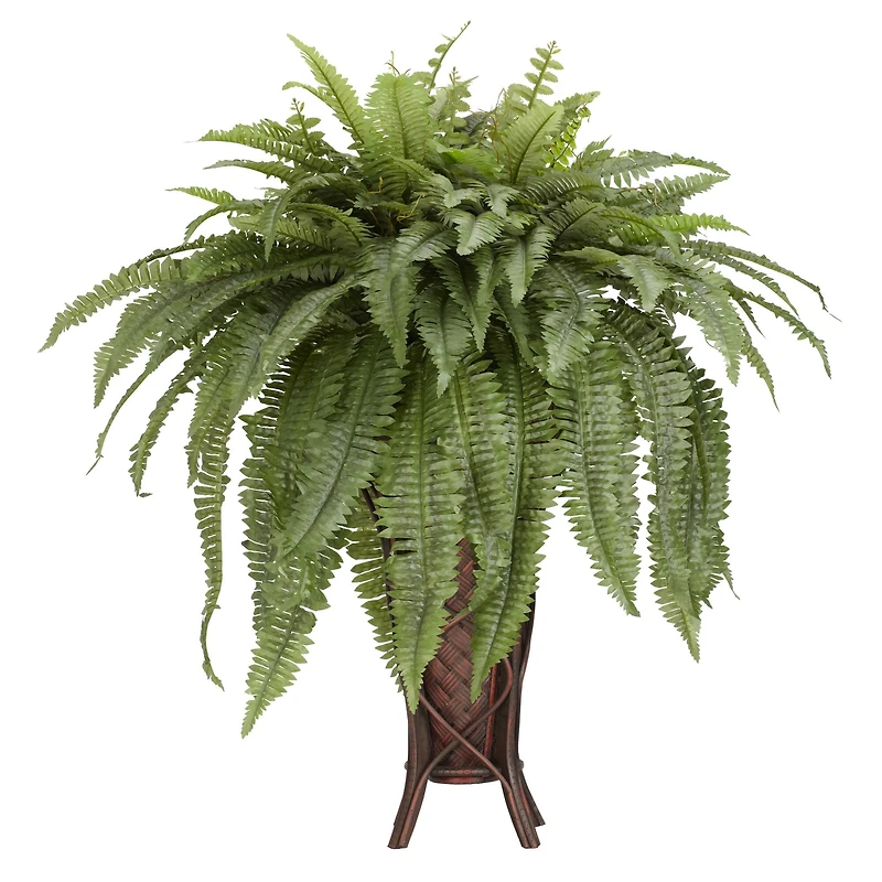 3ft. Boston Fern Plant in Stand