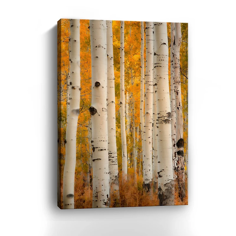 Orange Autumn Canvas Giclee